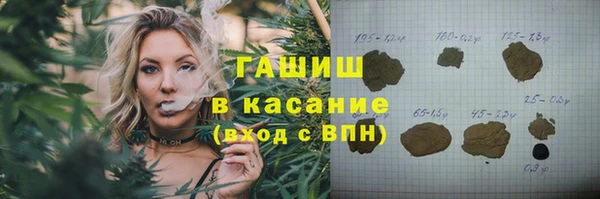 крисы Козельск