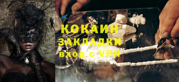 шишки Кодинск