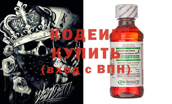 шишки Кодинск