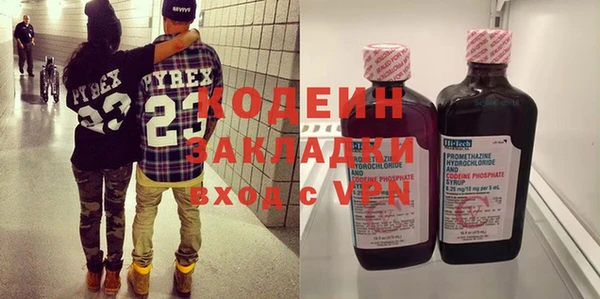 крисы Козельск