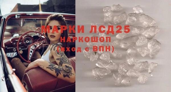 шишки Кодинск