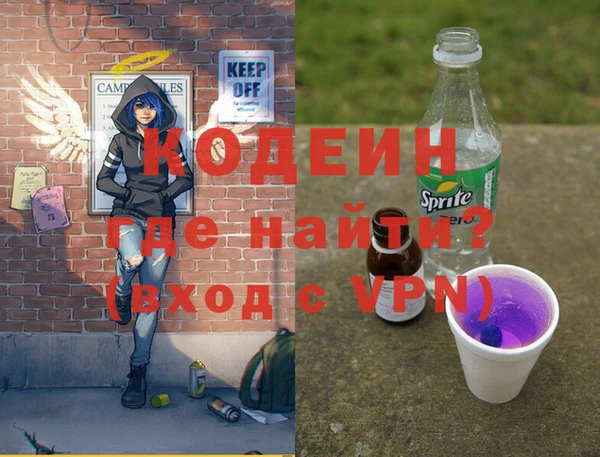 крисы Козельск