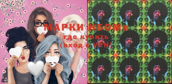 шишки Кодинск